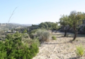 Terreny no urbanitzable en venda a la España, Benissa, ref.: TR243237 foto