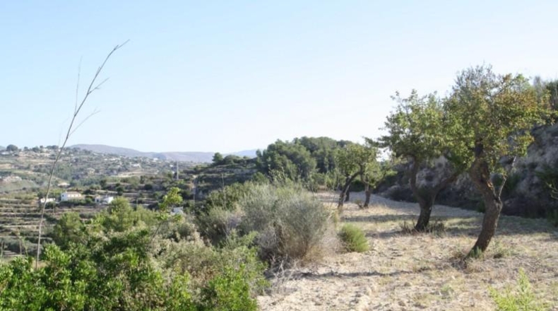 Alicante - Benisa - 13966m2