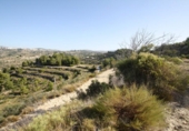 Terreny no urbanitzable en venda a la España, Benissa, ref.: TR243237 foto
