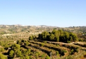 Terreny no urbanitzable en venda a la España, Benissa, ref.: TR243237 foto