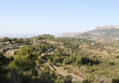 Terreny no urbanitzable en venda a la España, Benissa, ref.: TR243237 foto