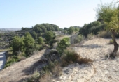 Terreny no urbanitzable en venda a la España, Benissa, ref.: TR243237 foto