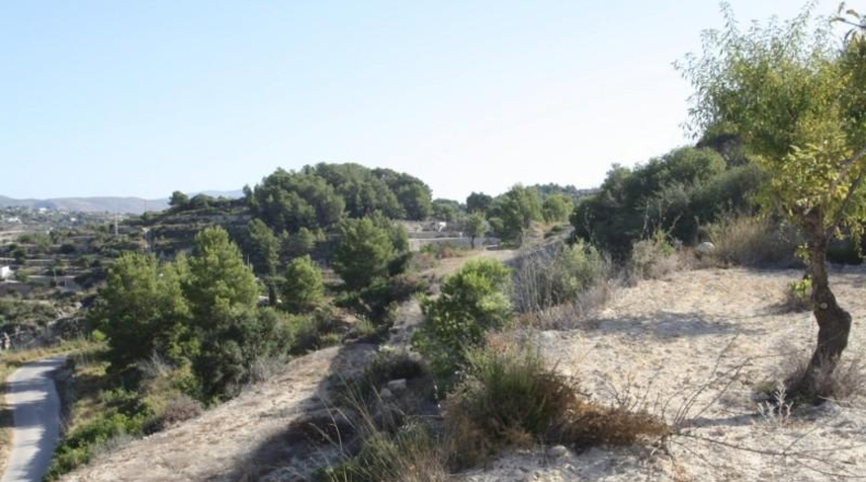 Alicante - Benisa - 13966m2