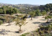 Terreny no urbanitzable en venda a la España, Benissa, ref.: TR243237 foto