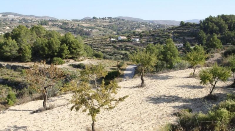 Alicante - Benisa - 13966m2