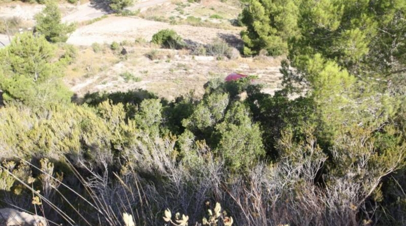 Alicante - Benisa - 13966m2