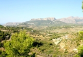 Terreny no urbanitzable en venda a la España, Benissa, ref.: TR243237 foto