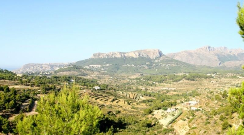 Alicante - Benisa - 13966m2