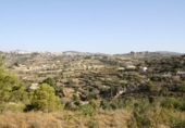 Terreny no urbanitzable en venda a la España, Benissa, ref.: TR243237 foto