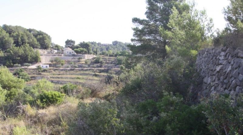 Alicante - Benisa - 13966m2