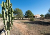 Non-developable land for sale on España, La Nucia, ref: TR112684 photo