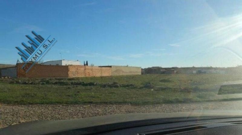 Ciudad Real - Carrión de Calatrava - 14287m2