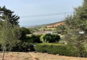 Terreny no urbanitzable en venda a la España, Estepona, ref.: TR351758 foto