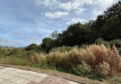 Land suitable for development for sale on España, Oviedo, ref: TR329981 photo
