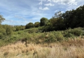 Land suitable for development for sale on España, Oviedo, ref: TR329981 photo