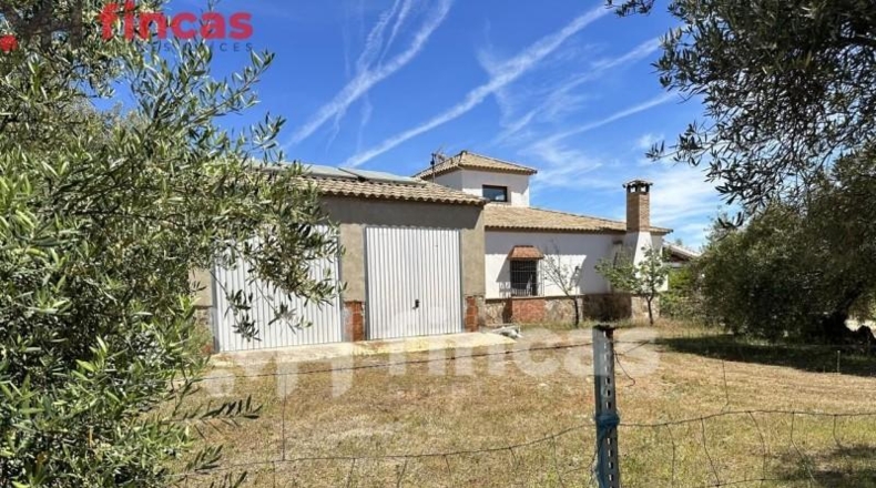 Seville - Las Navas de la Concepción - 97600m2