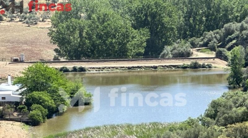 Seville - Las Navas de la Concepción - 97600m2