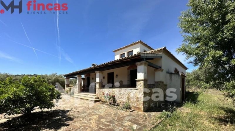 Seville - Las Navas de la Concepción - 97600m2
