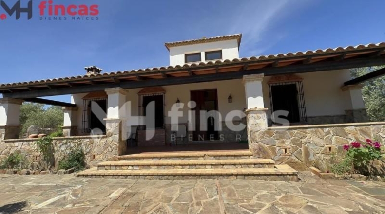 Seville - Las Navas de la Concepción - 97600m2
