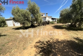 Las Navas de la Concepción 97600&nbsp;m² 