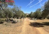 Xalet independent amb terreny en venda a la España, Las Navas de la Concepción, ref.: TR248554 foto
