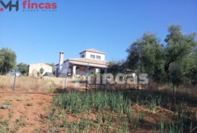 Las Navas de la Concepción 97600&nbsp;m² 