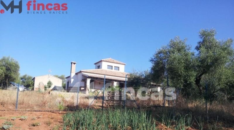 Seville - Las Navas de la Concepción - 97600m2