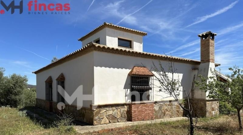 Seville - Las Navas de la Concepción - 97600m2
