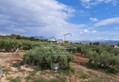 Xalet independent amb terreny en venda a la España, Lucena, ref.: TR242179 foto