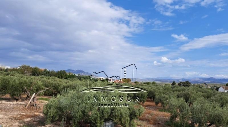 Córdoba - Lucena - 3700m2
