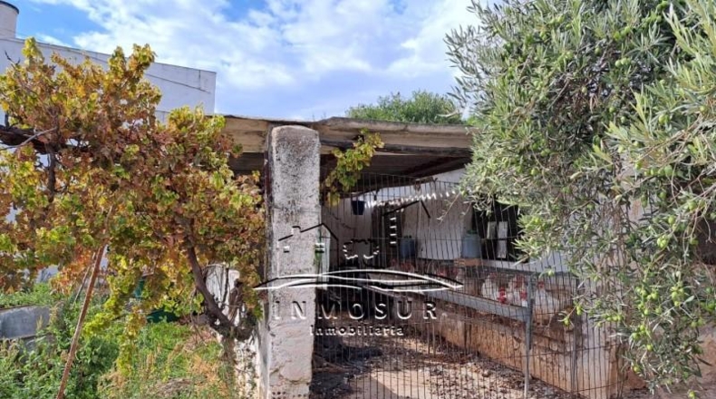 Córdoba - Lucena - 3700m2