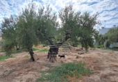 Xalet independent amb terreny en venda a la España, Lucena, ref.: TR242179 foto