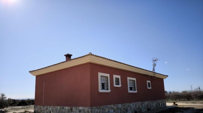Alicante - Crevillente - 12000m2
