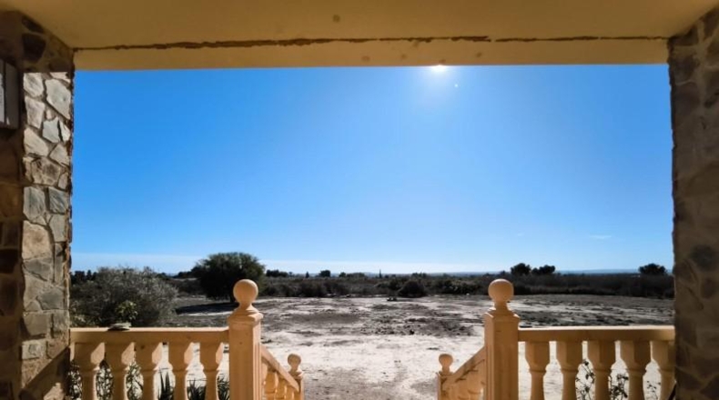 Alicante - Crevillente - 12000m2