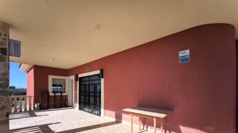 Alicante - Crevillente - 12000m2