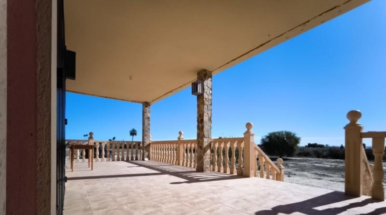 Alicante - Crevillente - 12000m2