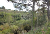 Land suitable for development for sale on España, Begur, ref: TR125408 photo