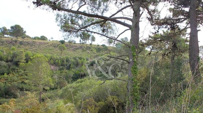 Gerona - Begur - 600m2