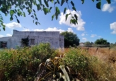 Casa de camp amb terreny en venda a la España, Sanlúcar de Barrameda, ref.: TR164109 foto