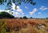 Casa de camp amb terreny en venda a la España, Sanlúcar de Barrameda, ref.: TR164109 foto