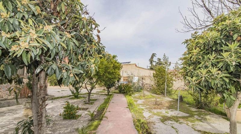 Granada - Cúllar Vega - 1235m2