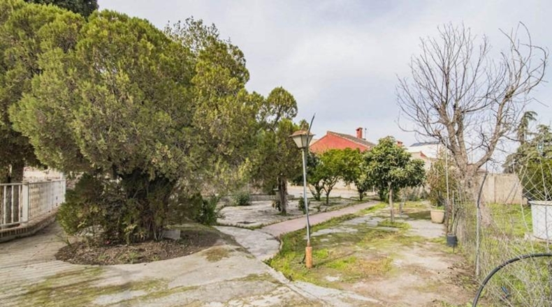 Granada - Cúllar Vega - 1235m2