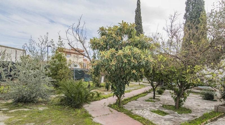 Granada - Cúllar Vega - 1235m2