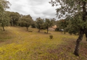 Xalet independent amb terreny en venda a la España, Ituero y Lama, ref.: TR156583 foto