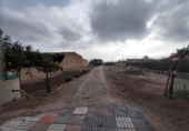 Casa de camp amb terreny en venda a la España, Sanlúcar de Barrameda, ref.: TR166295 foto