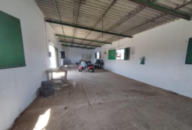 Foto 15
