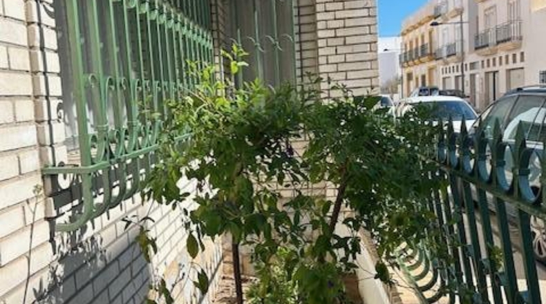 Almeria - Níjar - 250m2