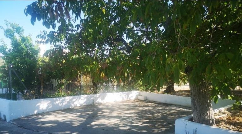 Córdoba - Lucena - 300m2