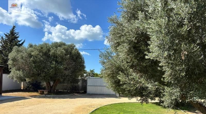 Cádiz - Chiclana de la Frontera - 1300m2