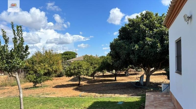Cádiz - Chiclana de la Frontera - 1300m2